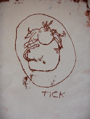 Tick